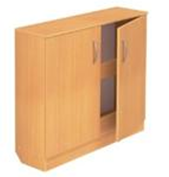 Шкаф закрытый для плакатов (карт) низкий