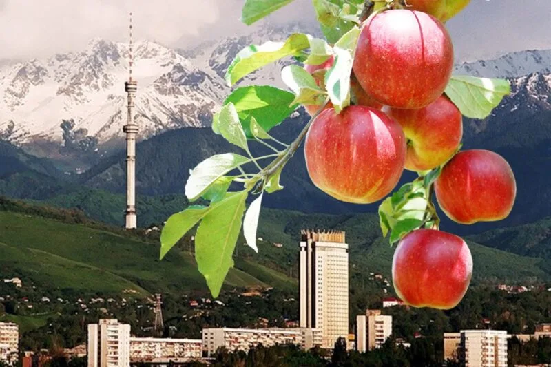 парта в Алматы